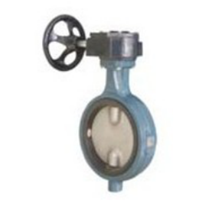 對(duì)夾蝸輪無(wú)銷蝶閥 WD71X